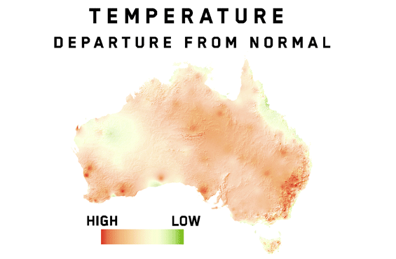 Infographic animation of analytic data of Australia